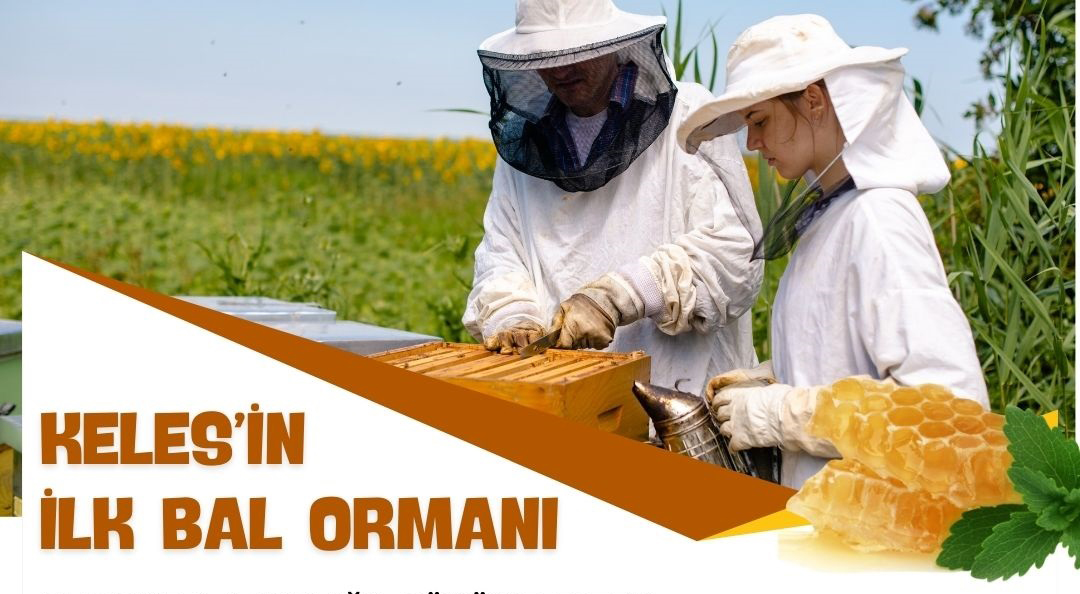 Keles' in İlk Bal Ormanı