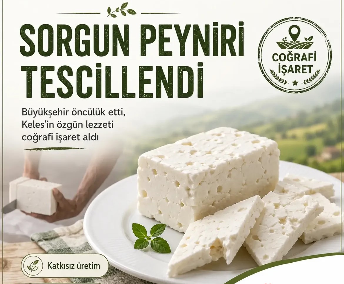 Keles Sorgun Peyniri Coğrafi İşaretle Tescillendi